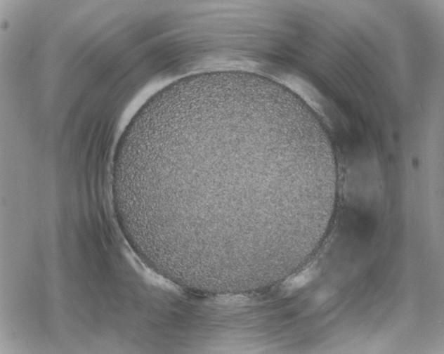 X0000070381094200606121246