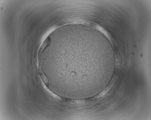 X0000070381095200606121246