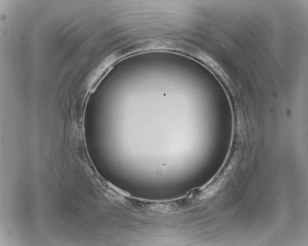 X0000070381097200606121246