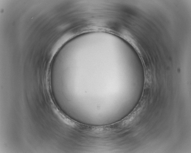 X0000070381098200606121246