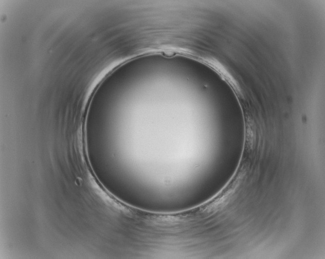 X0000070381100200606121246