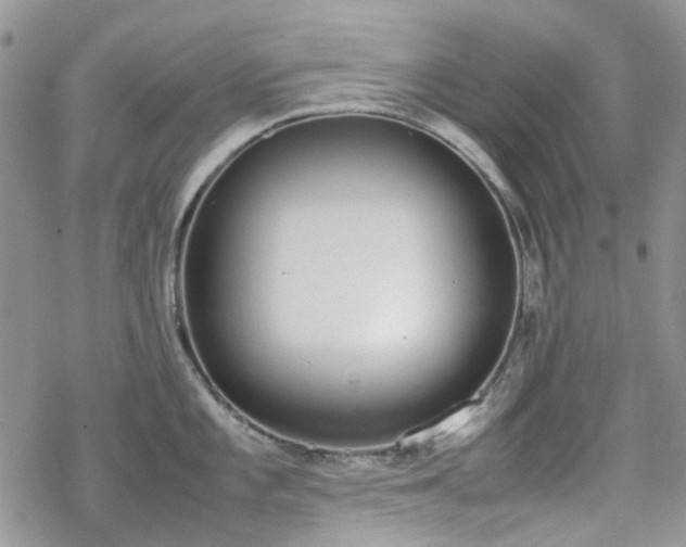 X0000070381101200606121246