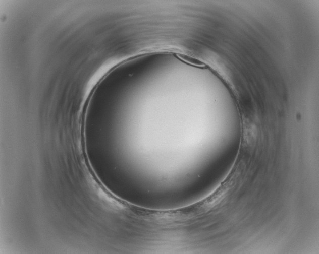 X0000070381102200606121246