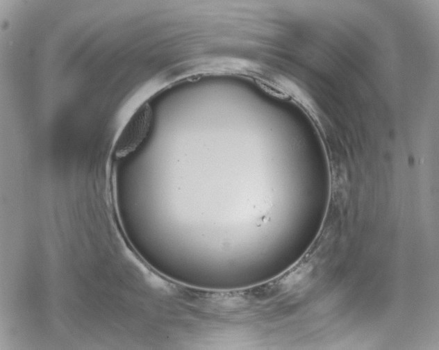 X0000070381103200606121246