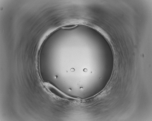 X0000070381104200606121246