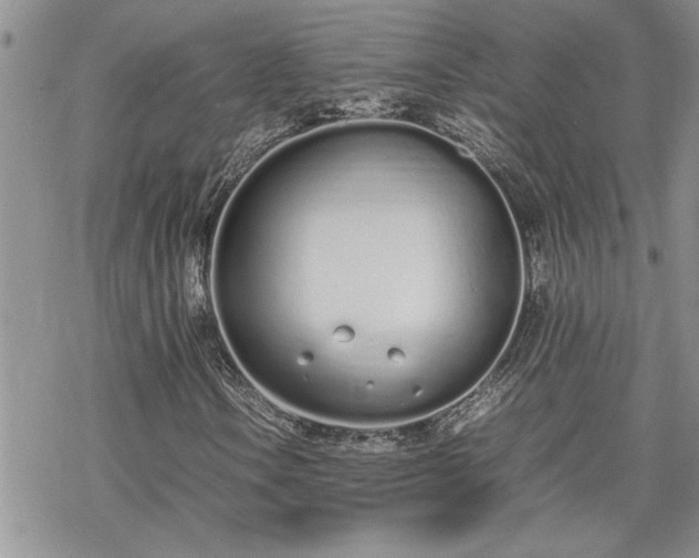 X0000070381106200606121246