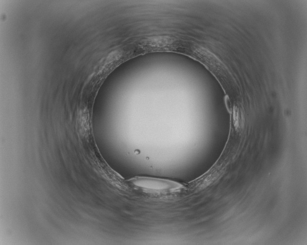 X0000070381107200606121246