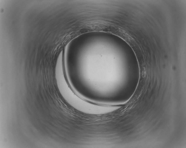 X0000070381108200606121246