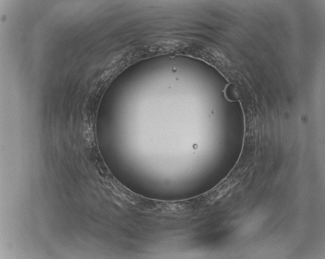 X0000070381109200606121246