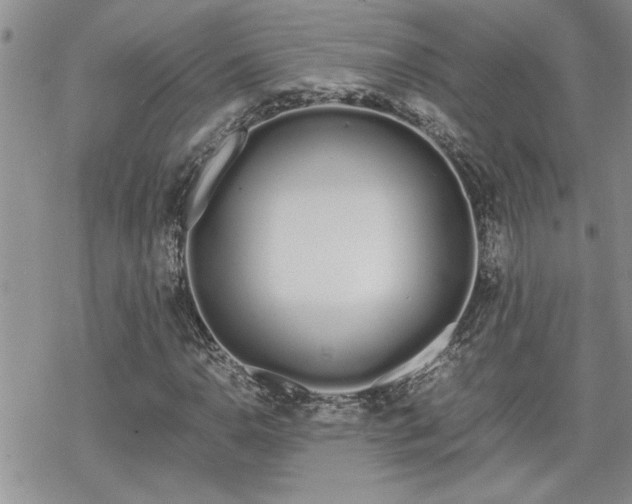 X0000070381110200606121246