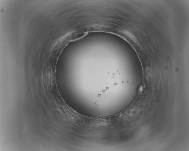 X0000070381111200606121246