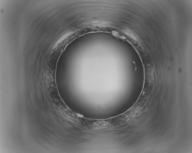 X0000070381112200606121246