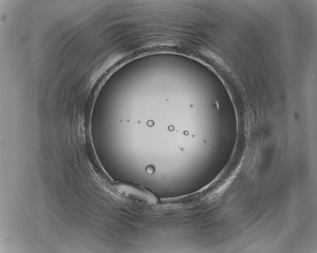 X0000070381113200606121246