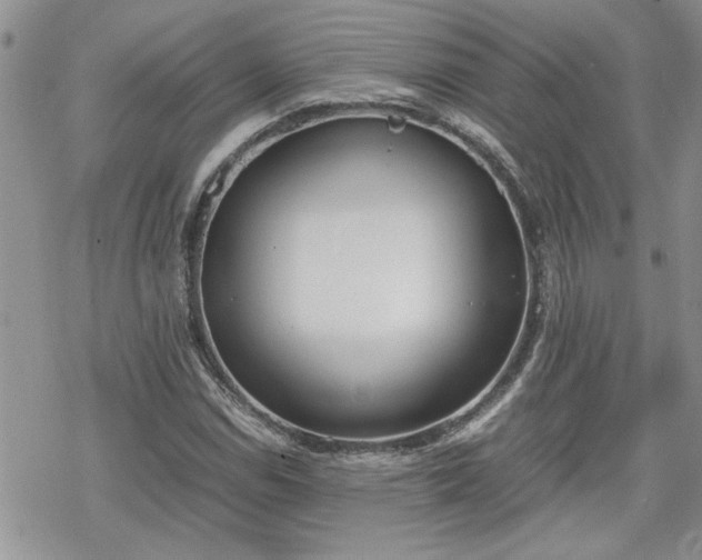 X0000070381114200606121246