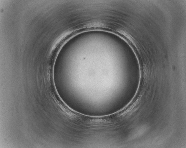 X0000070381115200606121246