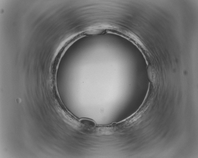 X0000070381116200606121246