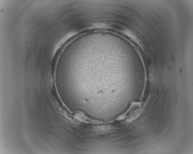 X0000070381117200606121246