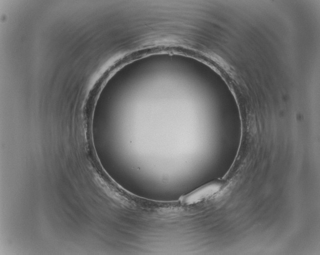 X0000070381118200606121246