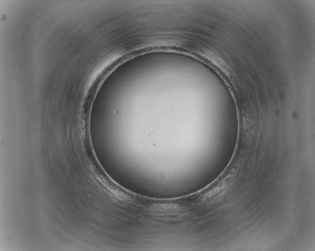 X0000070381119200606121246