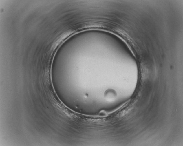 X0000070381121200606121246