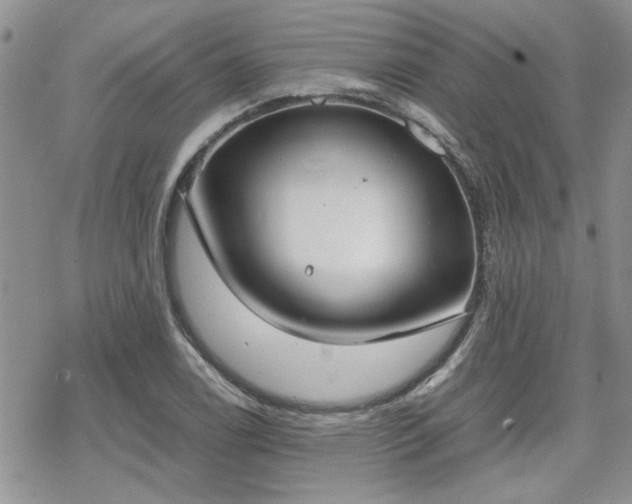 X0000070381122200606121246