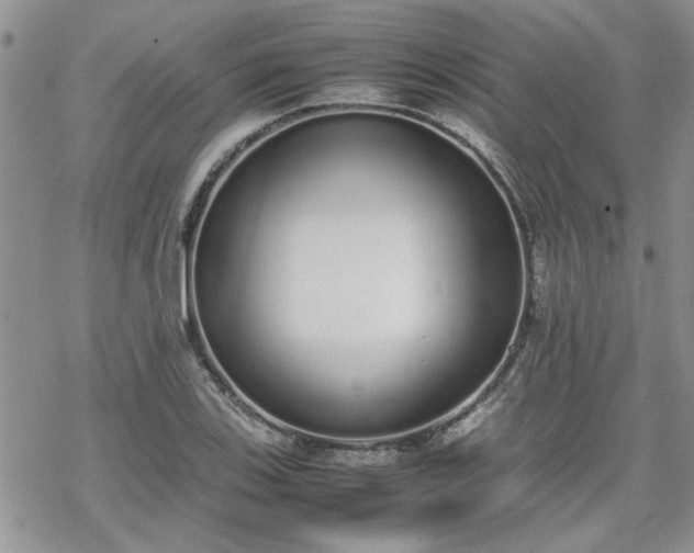 X0000070381123200606121246