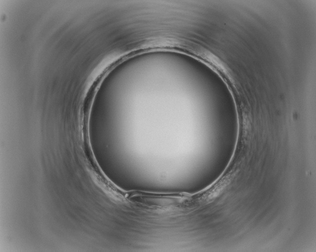 X0000070381124200606121246