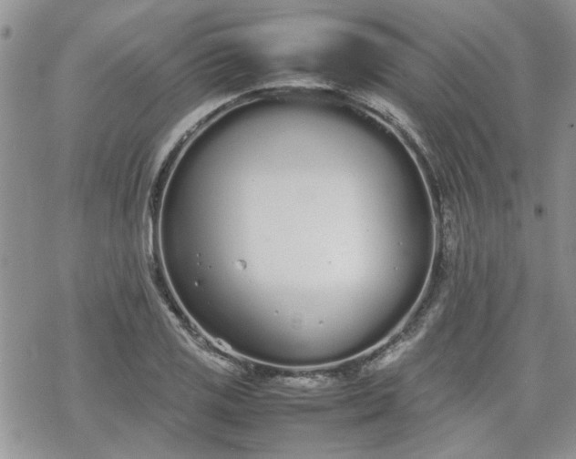 X0000070381125200606121246