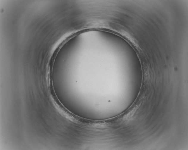 X0000070381126200606121246