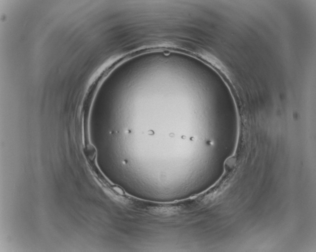 X0000070381127200606121246