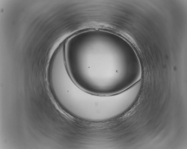 X0000070381128200606121246