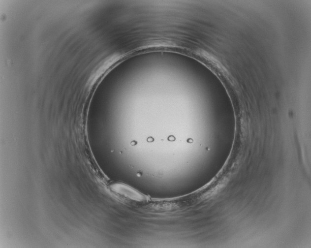 X0000070381129200606121246