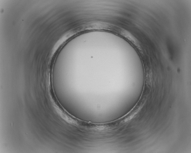 X0000070381130200606121246