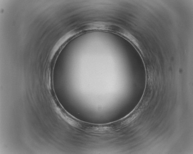 X0000070381131200606121246