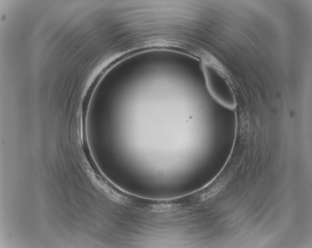 X0000070381132200606121246