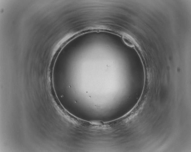 X0000070381133200606121246