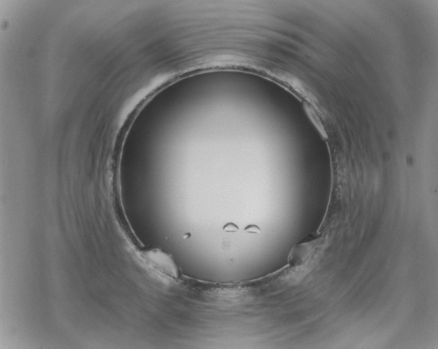 X0000070381134200606121246