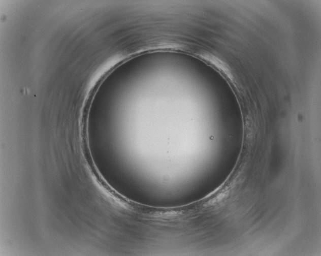 X0000070381135200606121246