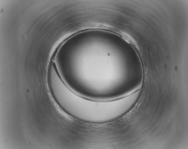 X0000070381136200606121246