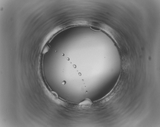 X0000070381139200606121246