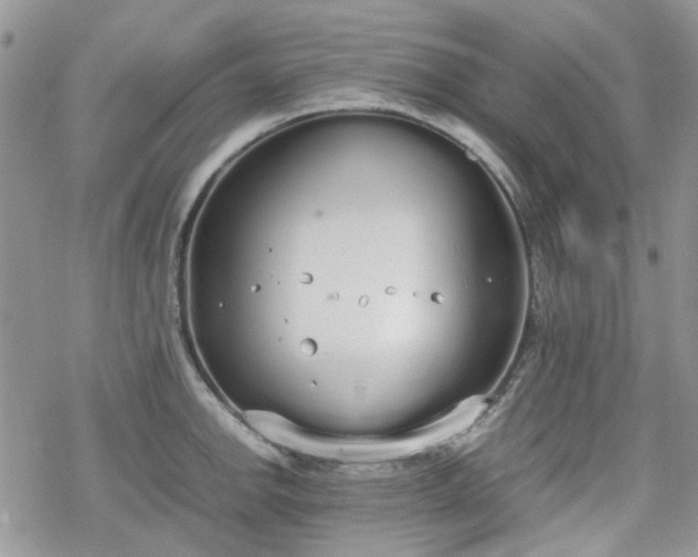 X0000070381142200606121246