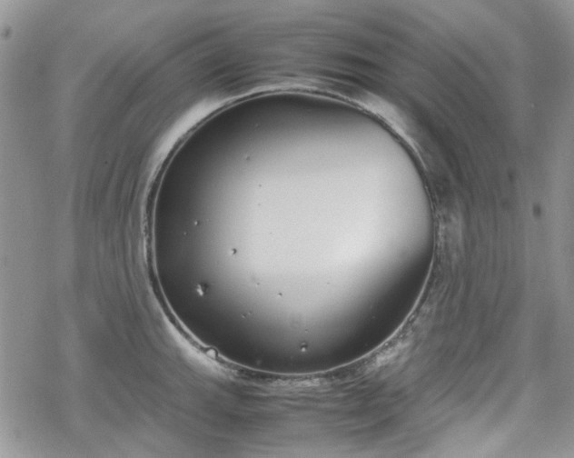 X0000070381143200606121246