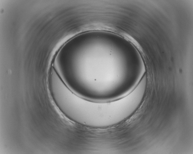 X0000070381144200606121246