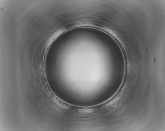 X0000070381145200606121246