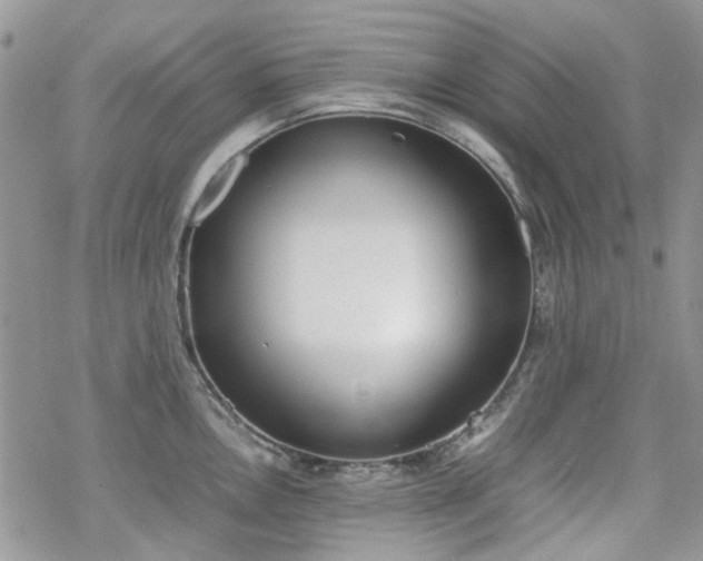 X0000070381146200606121246