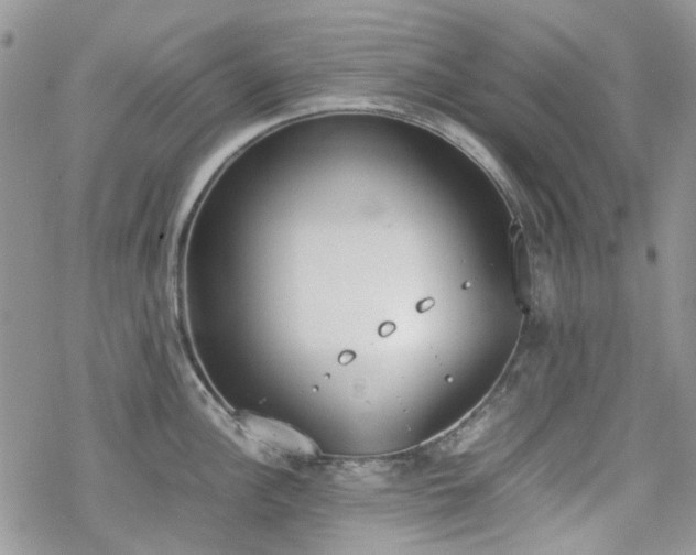 X0000070381148200606121246