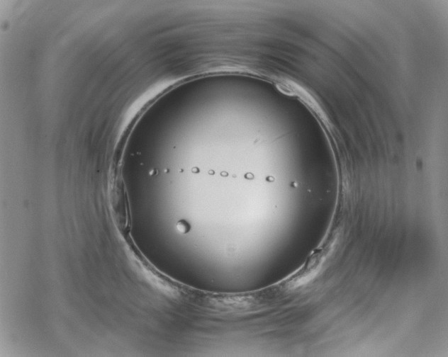 X0000070381149200606121246