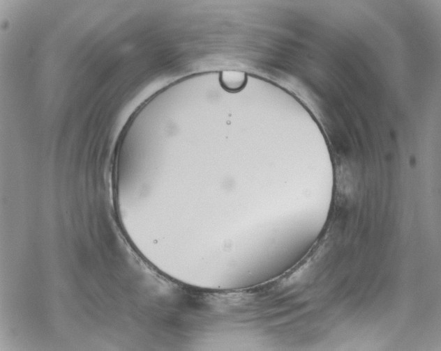 X0000070381150200606121246