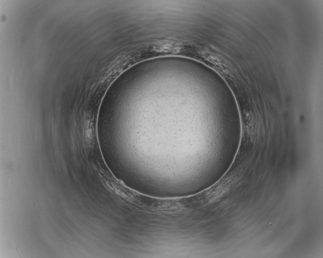 X0000070381154200606121245