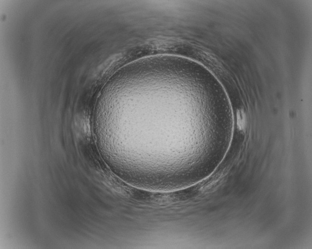 X0000070381155200606121245